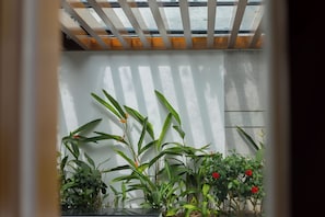 A room with a white wall, a wooden ceiling, and a variety of green plants. - Sailing Pool Villas & Resort Phu Quoc (Phu Quoc)