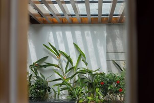 Una habitación con pared blanca, techo de madera y diversas plantas verdes.