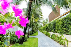 A pathway lined with palm trees and lush greenery, leading to a building with a modern design.