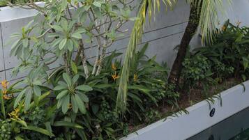 A poolside area with a concrete planter filled with various tropical plants and a palm tree.