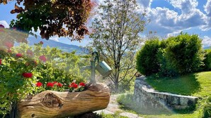 A garden with a wooden log planter, a stone pathway, and a metal watering can.