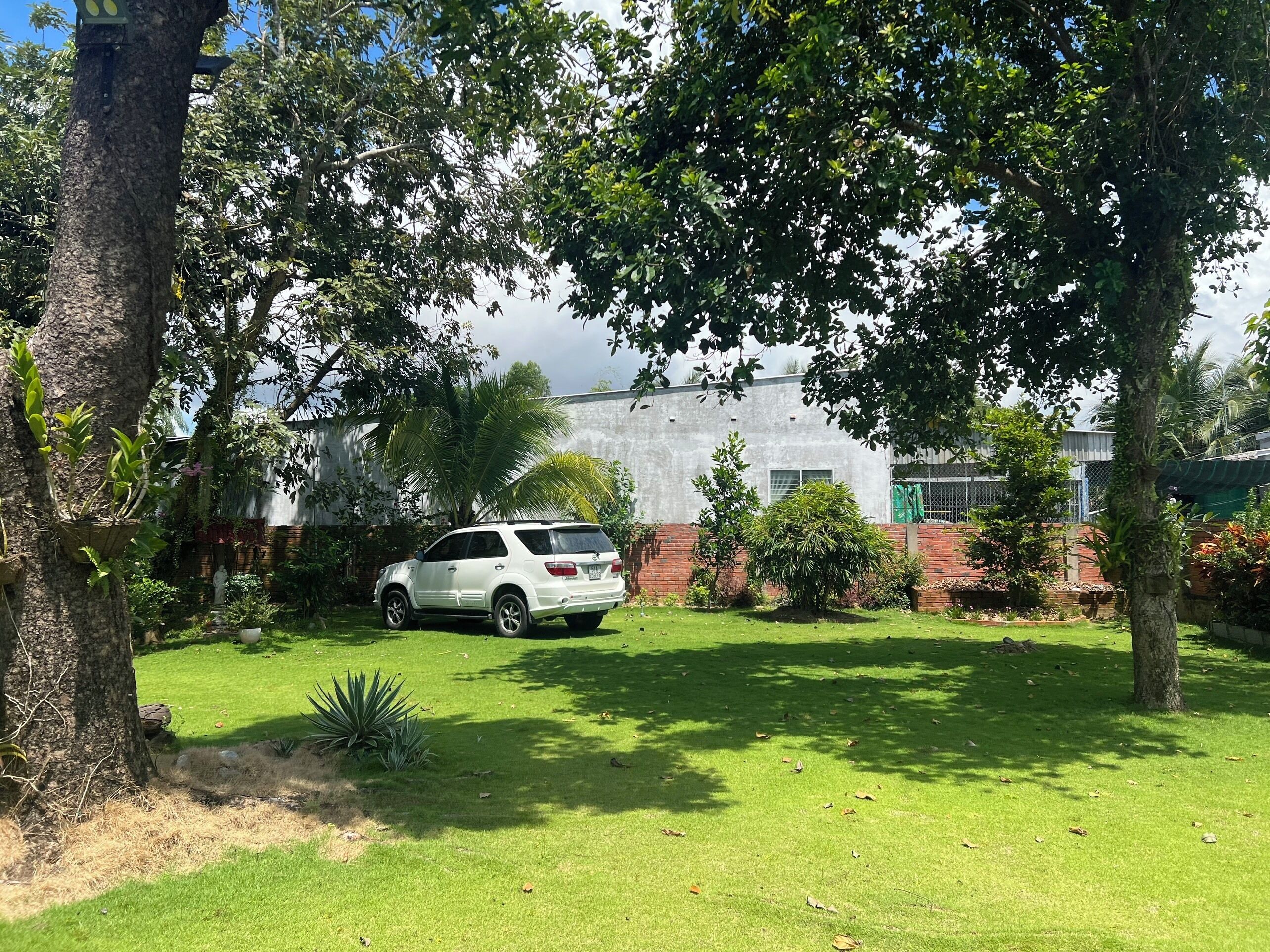 Un SUV blanco estacionado en un área con césped, árboles y un edificio al fondo.