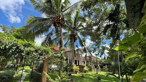 A lush garden with palm trees, a brick wall, and a building with a red roof.