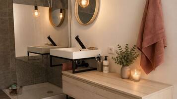 Shower, hair dryer, toilet paper