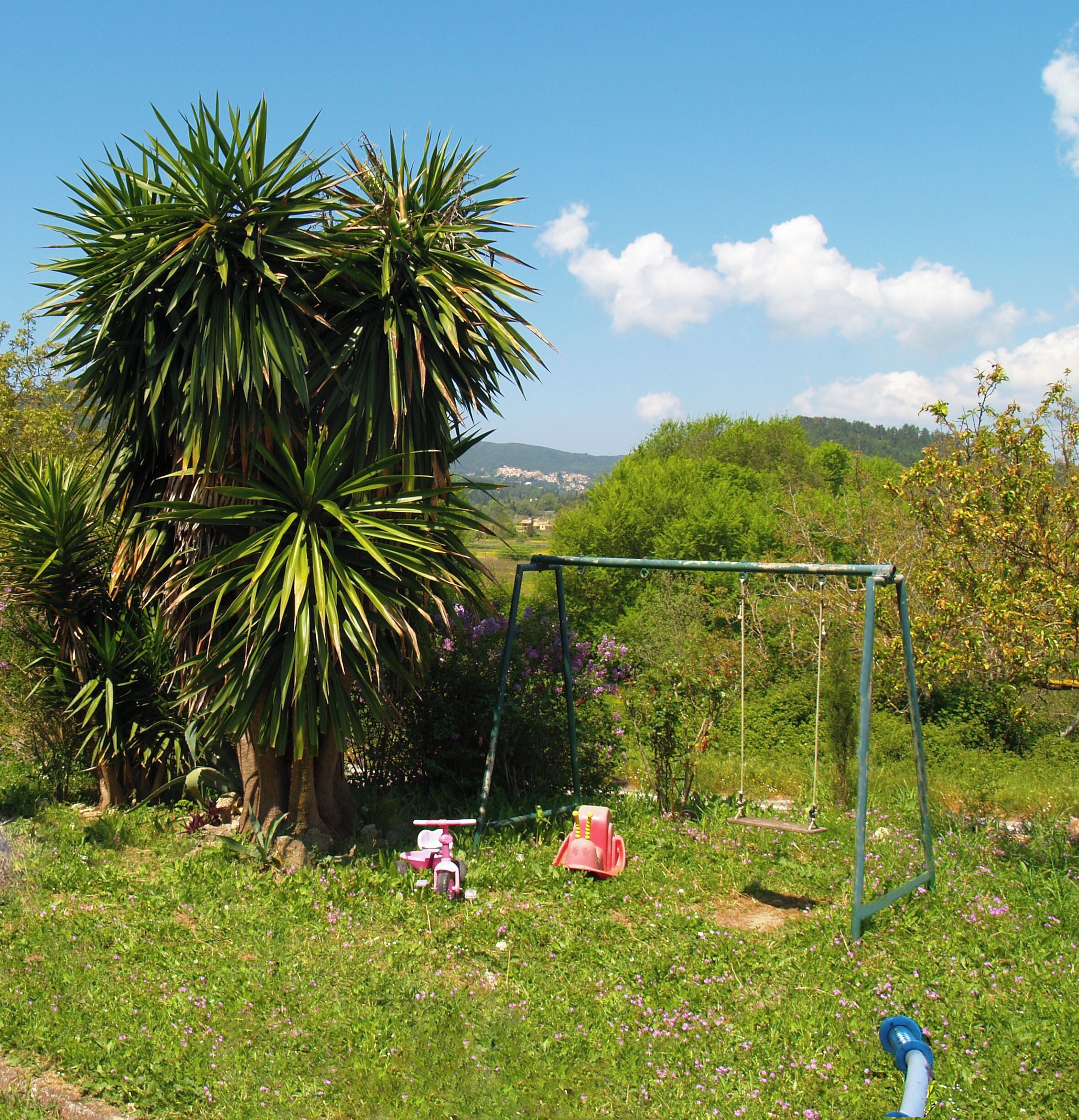 Une balançoire installée dans un espace verdoyant, avec un grand arbre et une vue sur des collines lointaines.