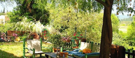 Un espace extérieur aménagé dans un style rustique, avec un banc et une table en bois, entouré d’une végétation luxuriante et de plantes en fleurs.