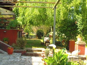 Ein Garten mit Topfpflanzen, einem Kaktus und einer weißen Katze.