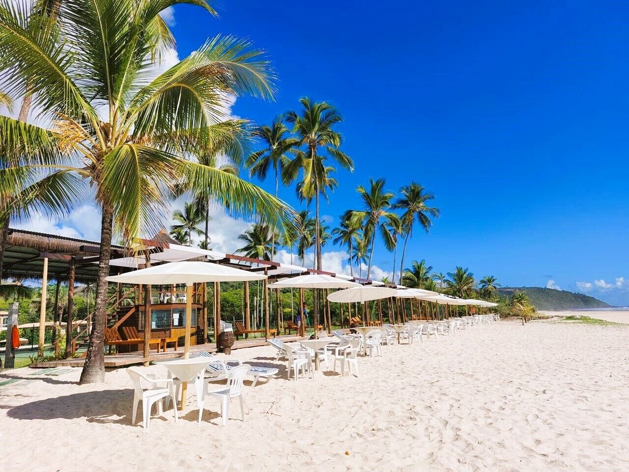 A beachside resort with outdoor seating and palm trees.