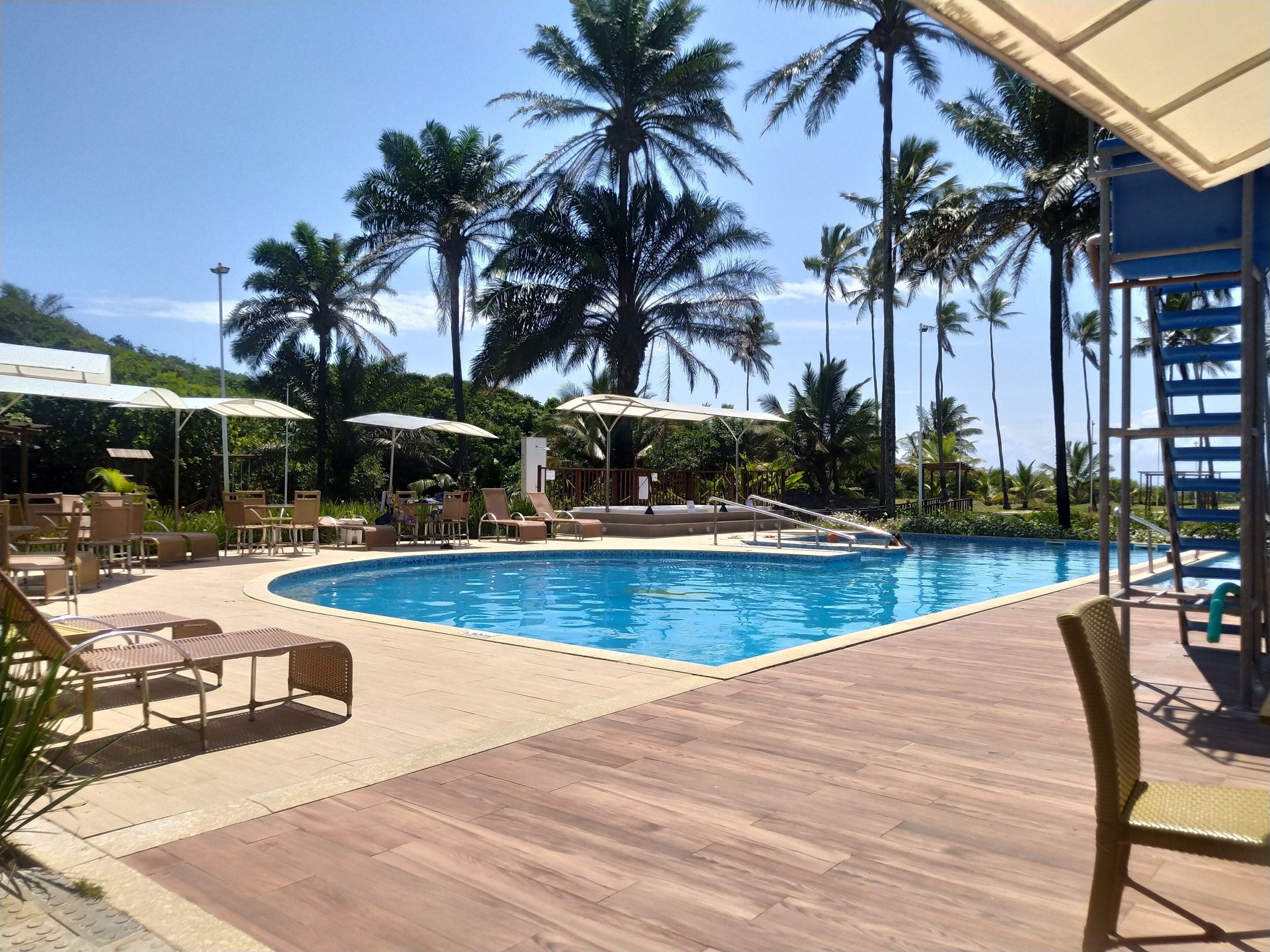 A pool area with lounge chairs and umbrellas, surrounded by palm trees.