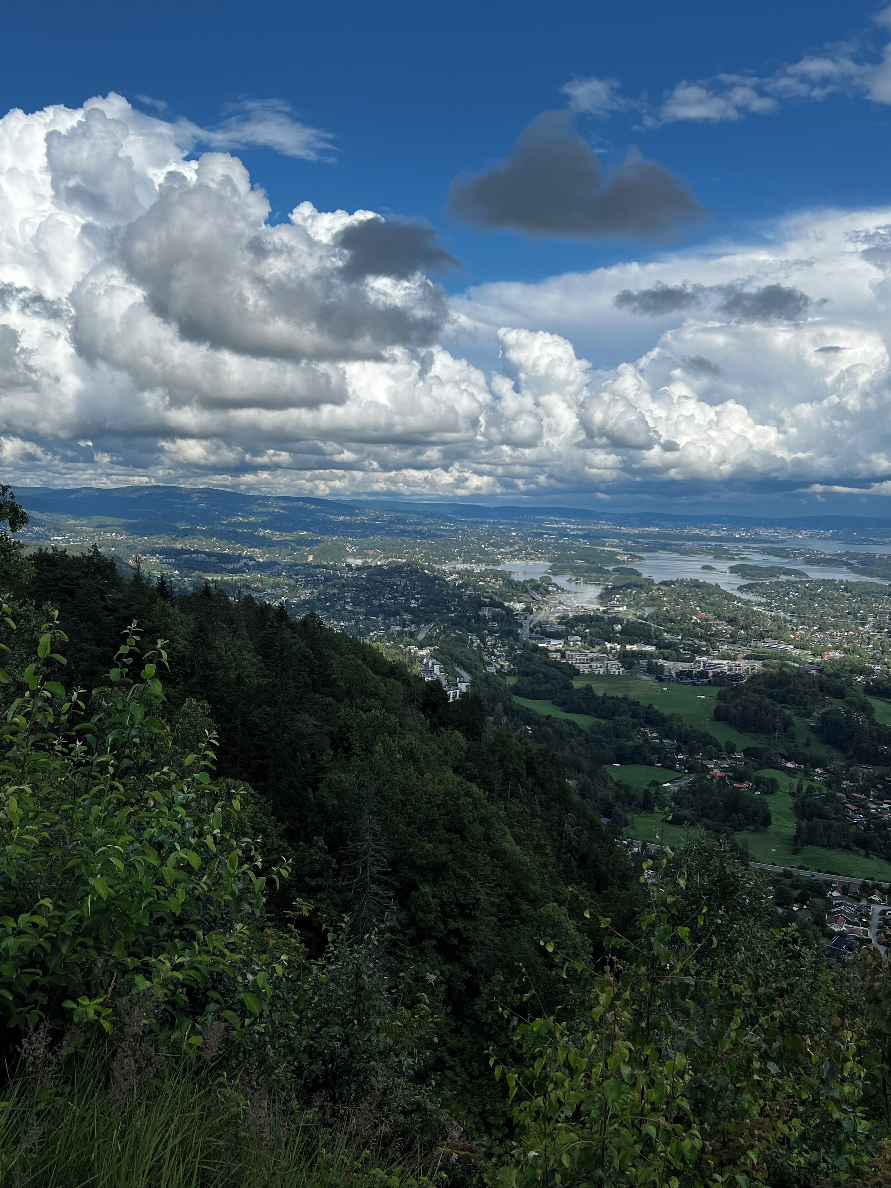 A panoramic view of a city with a mountainous backdrop, dense greenery, and a river.