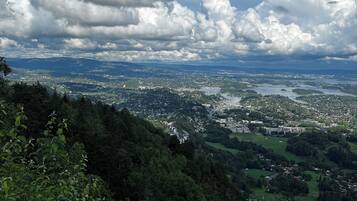 A panoramic view of a city with a mountainous backdrop, dense greenery, and a river.