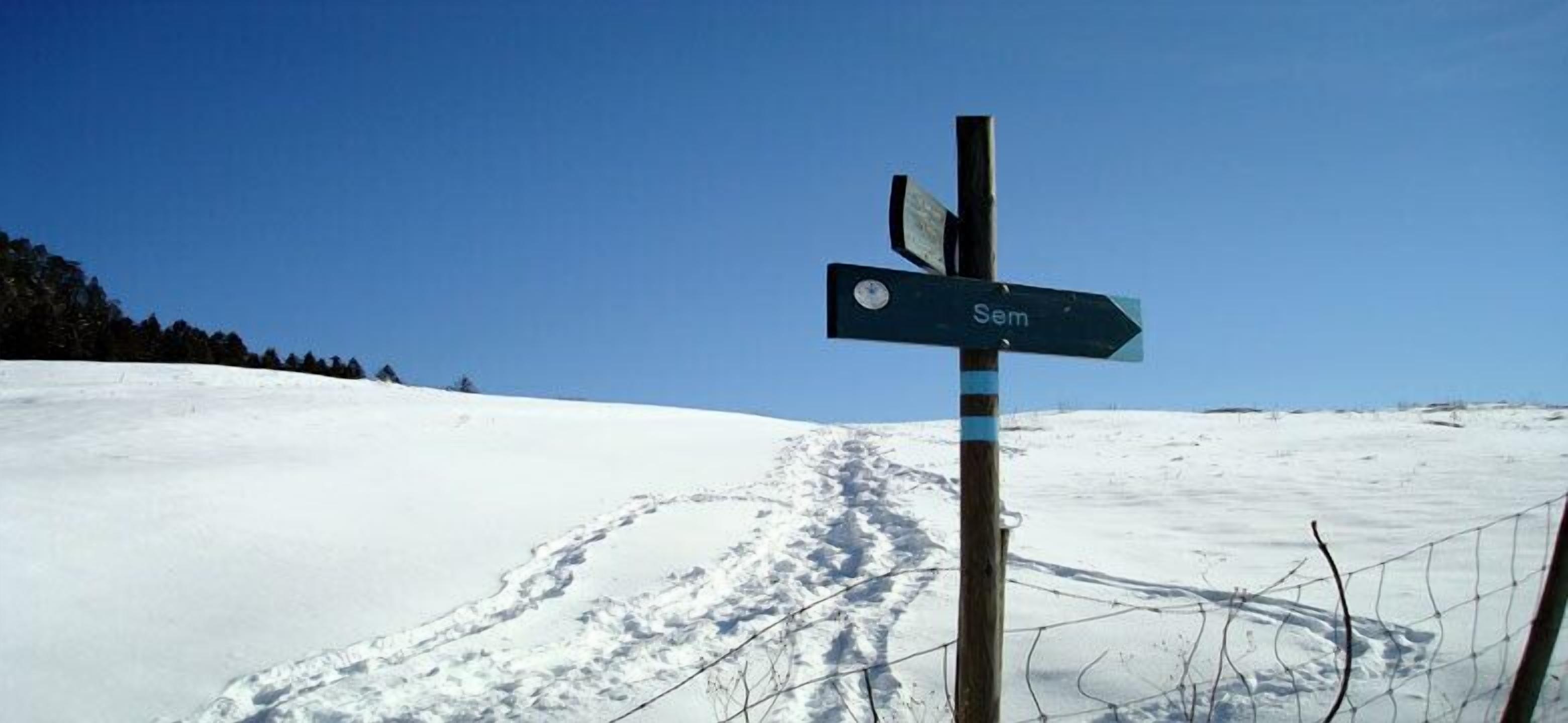 A wooden signpost with directional arrows in a snowy landscape.