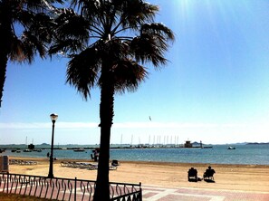A beach with palm trees, a fence, and a person sitting on a chair.