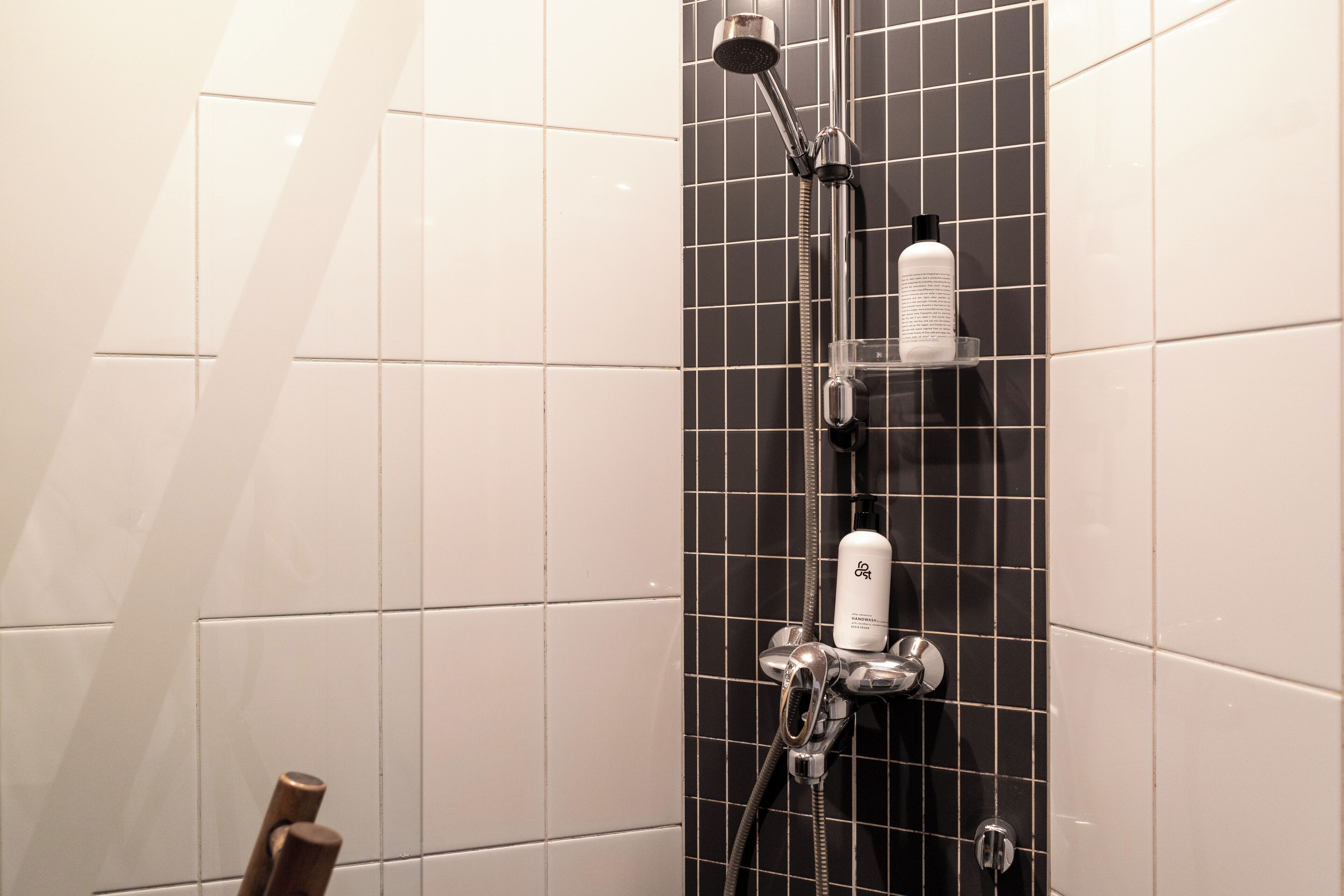 Departamento | Baño | Regadera, secadora de cabello, toallas, jabón 