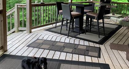 Waterfront 2-bedroom house with high speed internet 20 minutes from Mahone Bay.