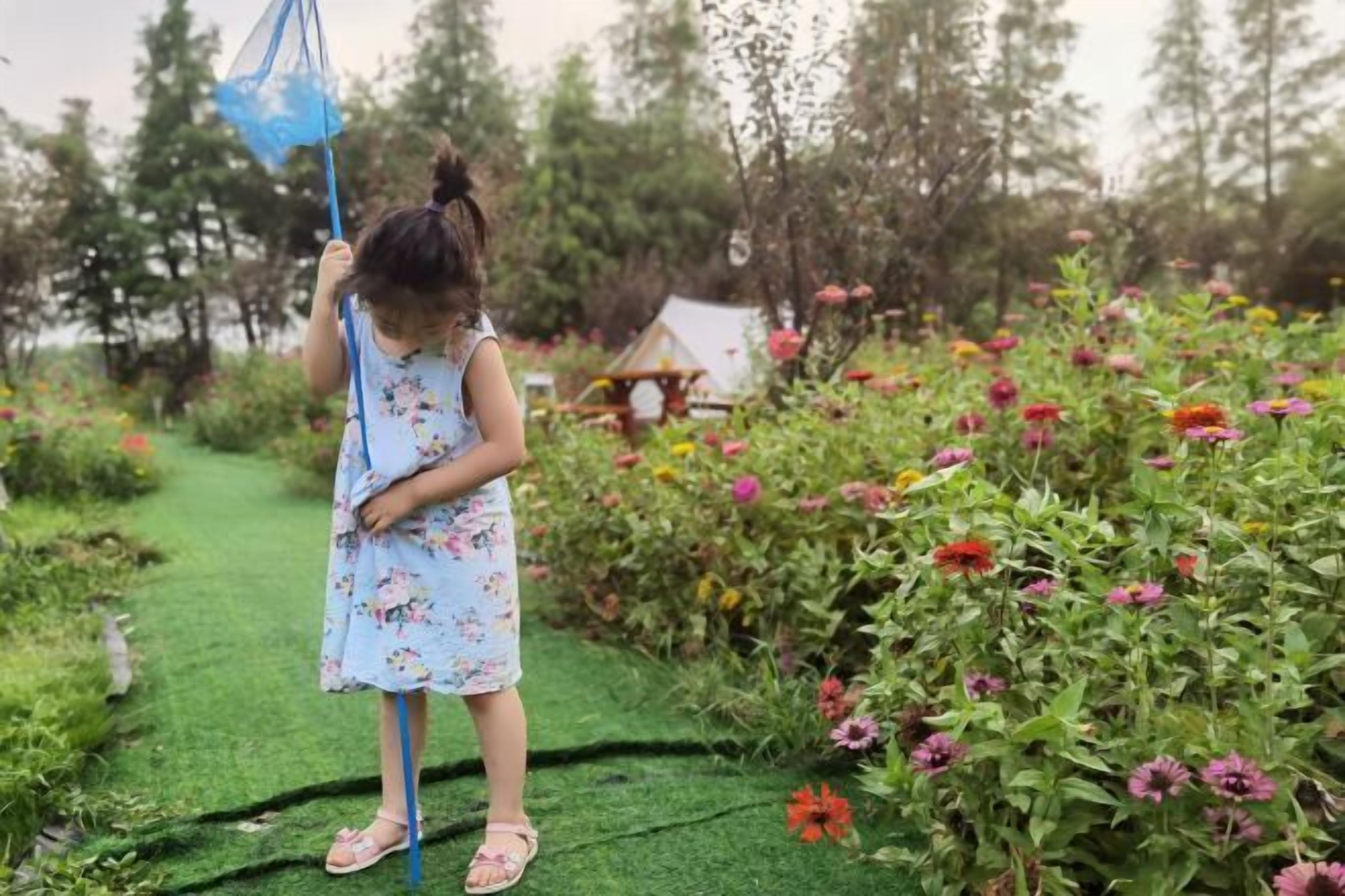 A garden pathway with a variety of colorful flowers and a small structure in the background.