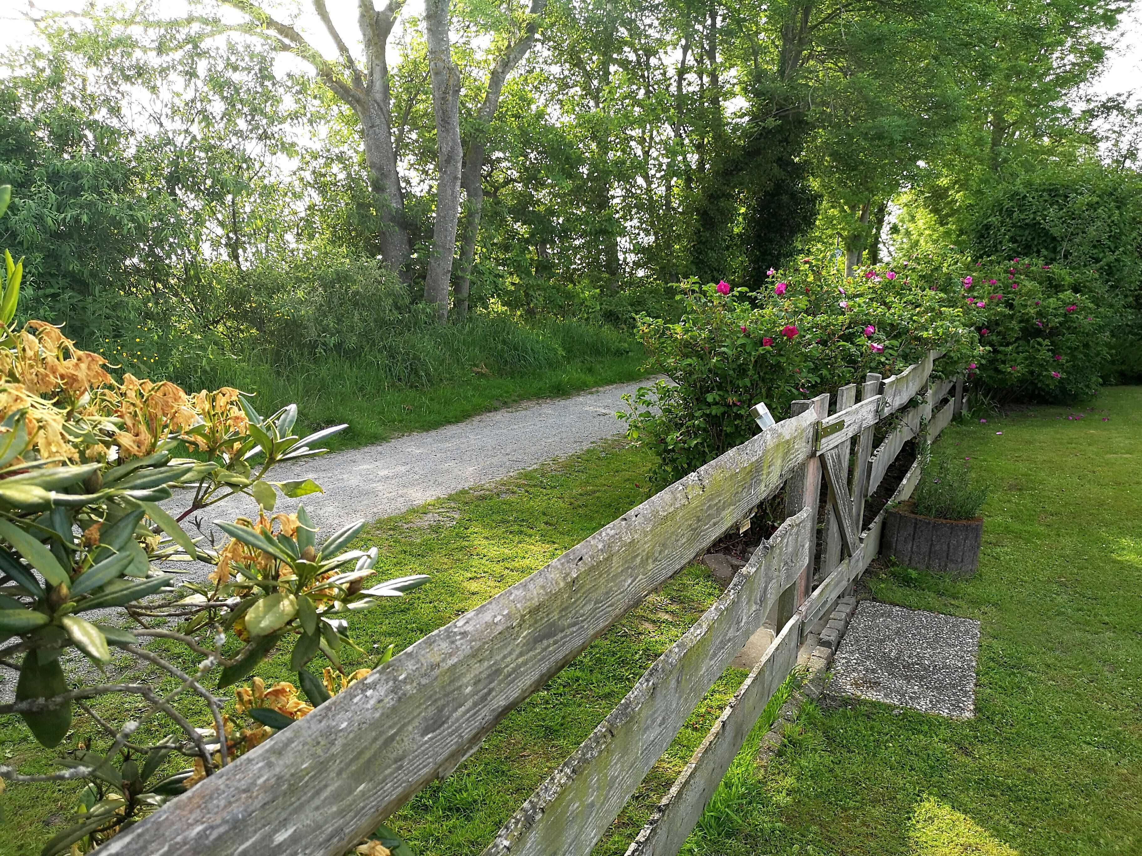 Ein Kiesweg, der von einem Holenzaun und üppigem Grün gesäumt wird, führt durch einen Garten mit verschiedenen Pflanzen und Blumen.