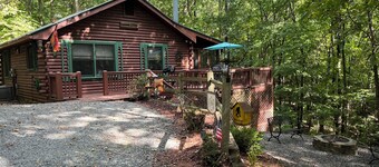 Cozy 2-bedroom, one bath true cabin in amazing Blue Ridge mountains.with Wi Ac