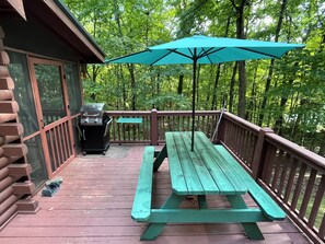 Property grounds - Cozy 2-bedroom, one bath true cabin in amazing Blue Ridge mountains.with Wi Ac (Blue Ridge)