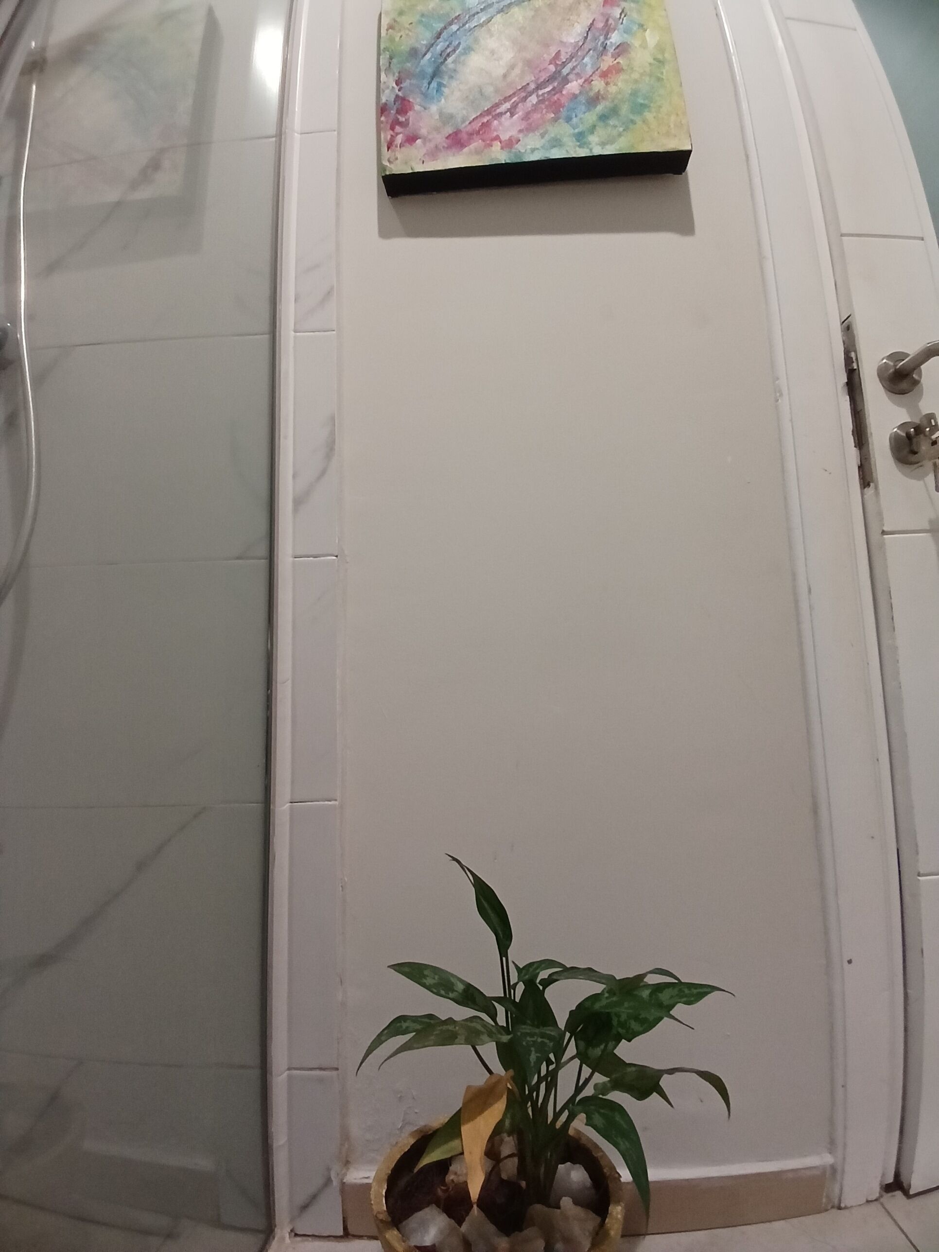 A bathroom with a white tiled wall, a shower area, and a small potted plant on the floor.