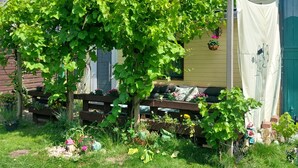 Jardí residencial amb una pèrgola, una cadira de fusta i corda per estendre la roba.