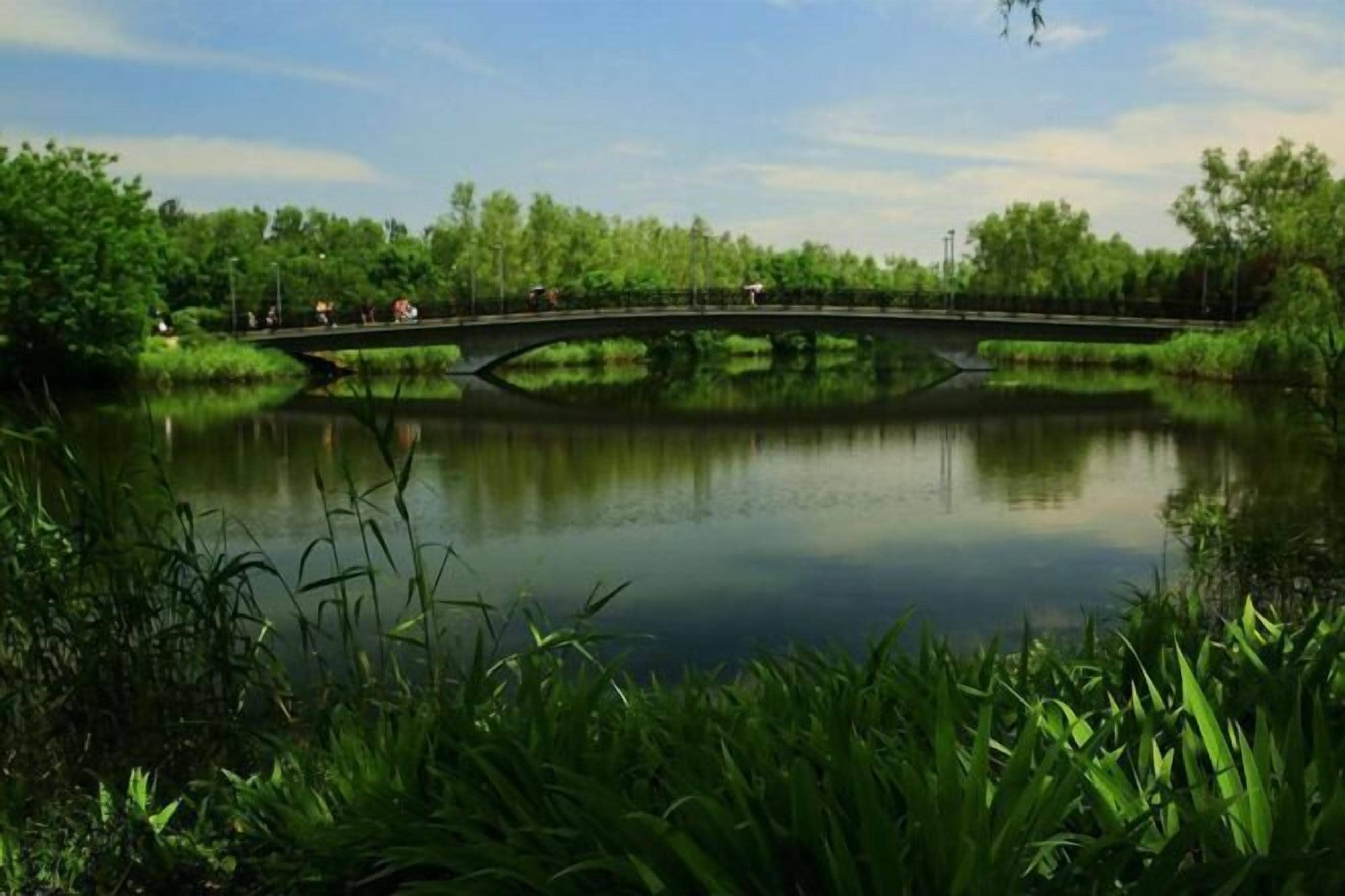 A bridge over a calm body of water with lush greenery on both sides.