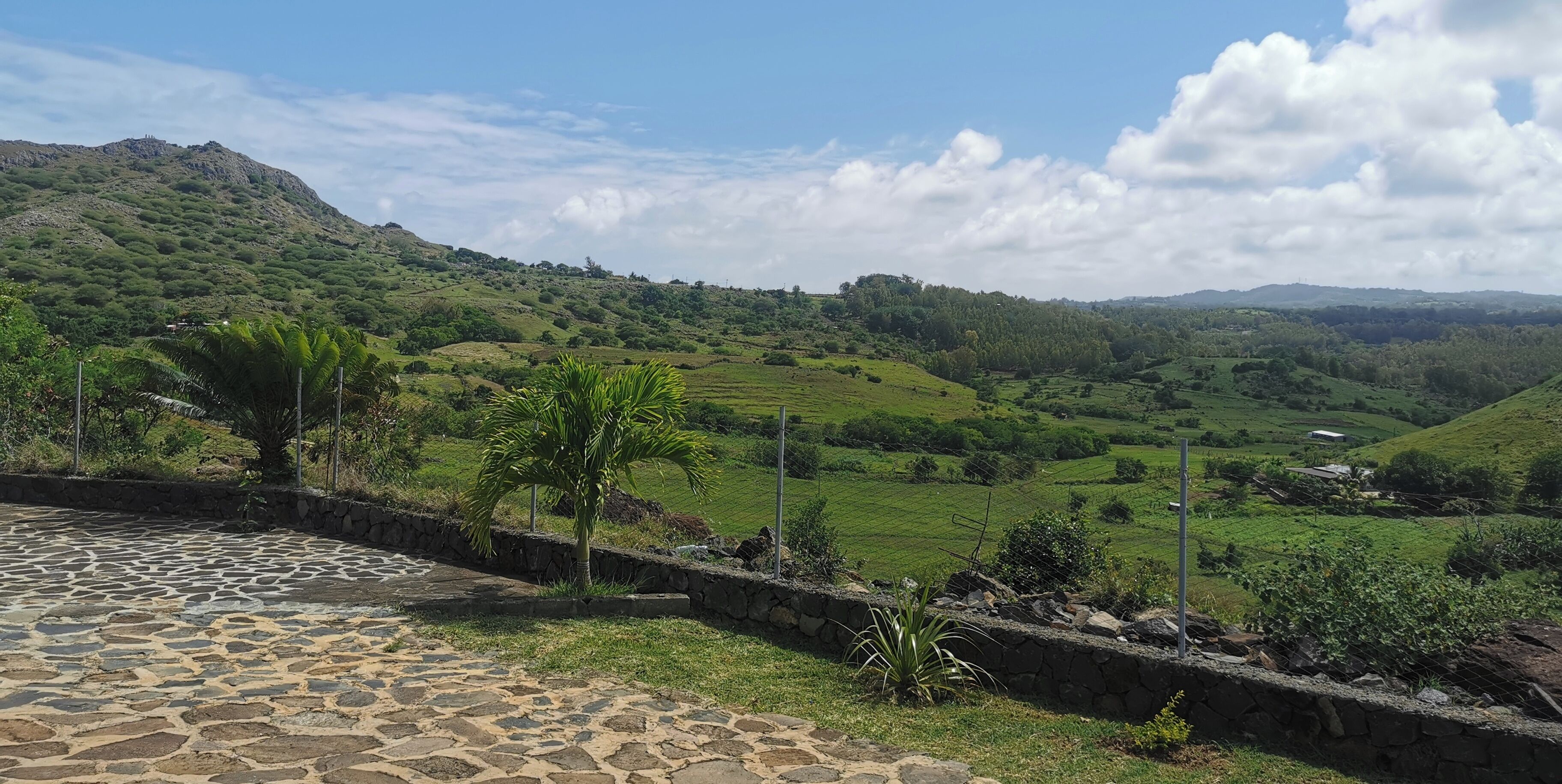 Un área empaveda de piedra con una palmera y un muro de piedra, con vistas a un valle verde exuberante con campos y colinas lejanas.