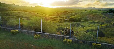 Paisaje rural con colinas ondulantes, un muro de piedra y vegetación dispersa.