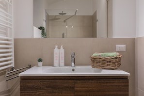 A bathroom with a white sink, a mirror above it, and a showerhead. There are two bottles of shampoo and a small potted plant on the sink.