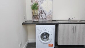 A compact laundry room with a washing machine, a sink, and a cabinet. - LHR Studio 4 - Coventry (Coventry)