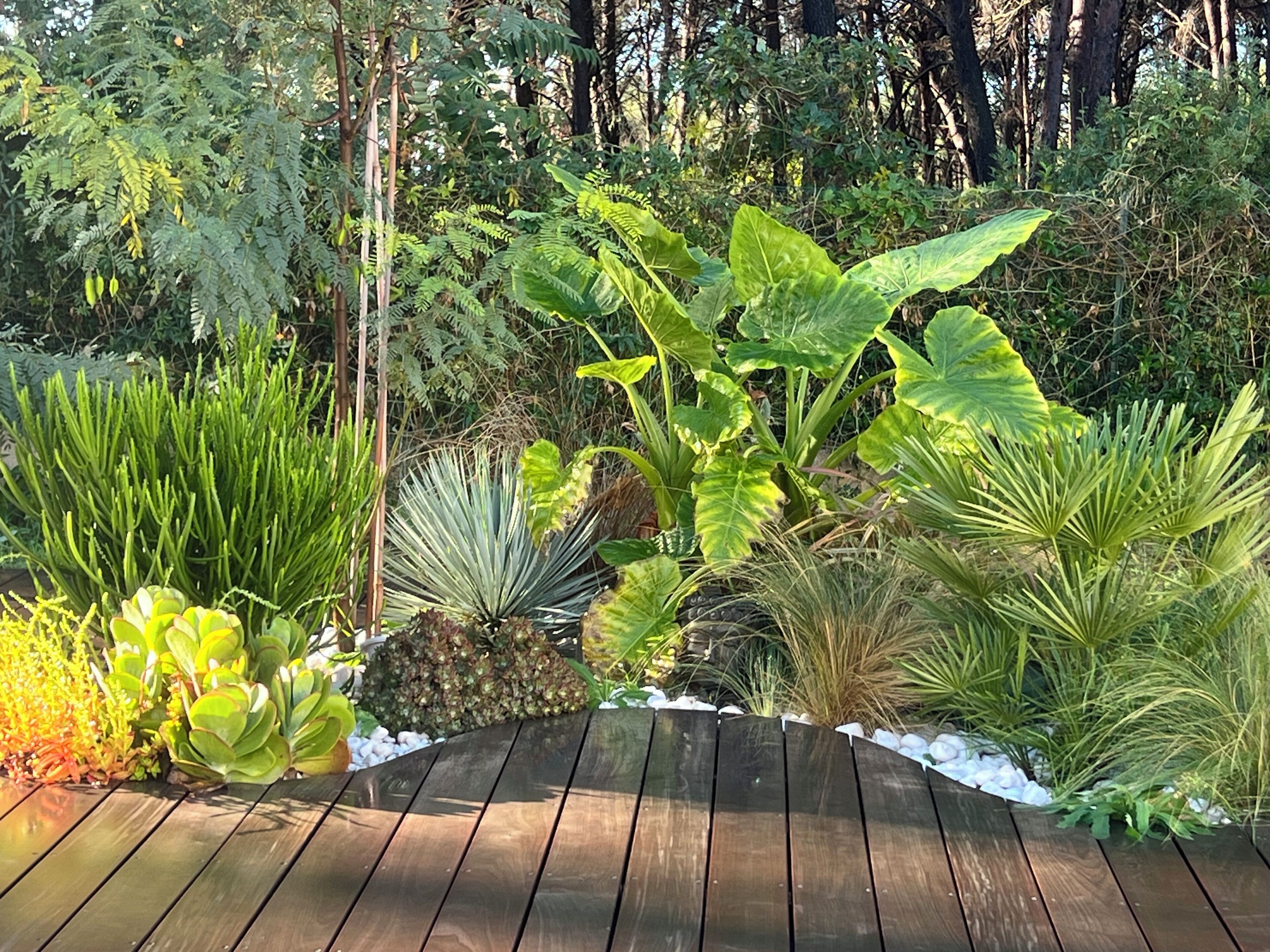 Overnattingsstedets uteområder