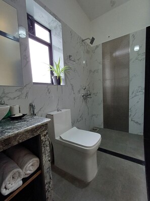 Shower, hair dryer, towels, soap