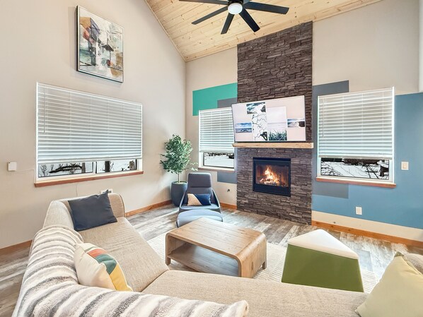 Smart TV, fireplace, books