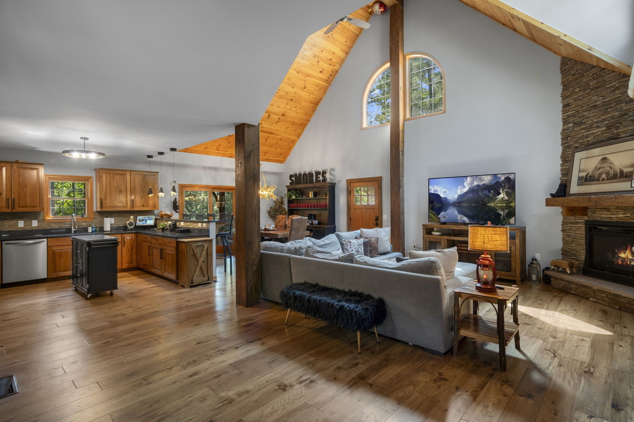 Smart TV, fireplace, video games, books