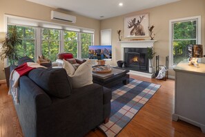 Smart TV, fireplace, video games, books