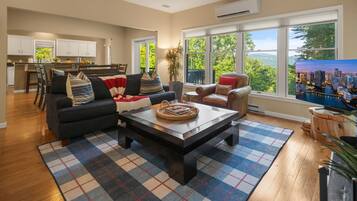 Smart TV, fireplace, video games, books