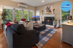 Smart TV, fireplace, video games, books
