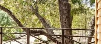 Orchard Cottage - Country Escape New