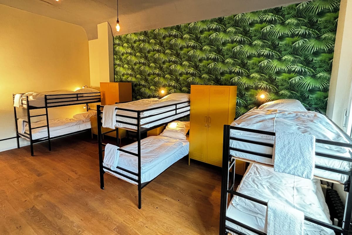 A dormitory room with bunk beds, a wooden floor, a green leaf-patterned wall, and a yellow wardrobe.