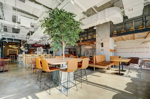 A spacious cafe with a large tree, high ceilings, and modern furniture.