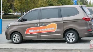 A brown minivan parked on the side of a road.