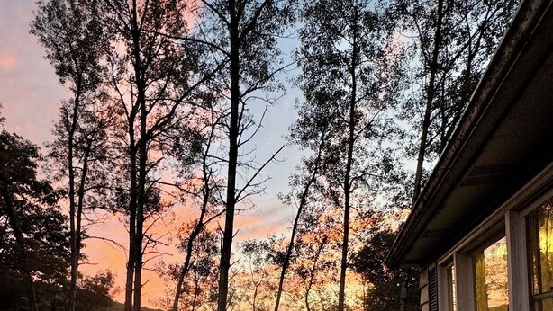 A wooden deck with a picnic table, surrounded by a grassy area with trees and a house in the background. - Charming 2-bedroom house in Tiona with sunset views and everything you need. (Tiona)