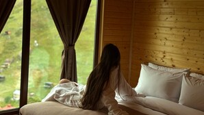 Double or Twin Room, Mountain View