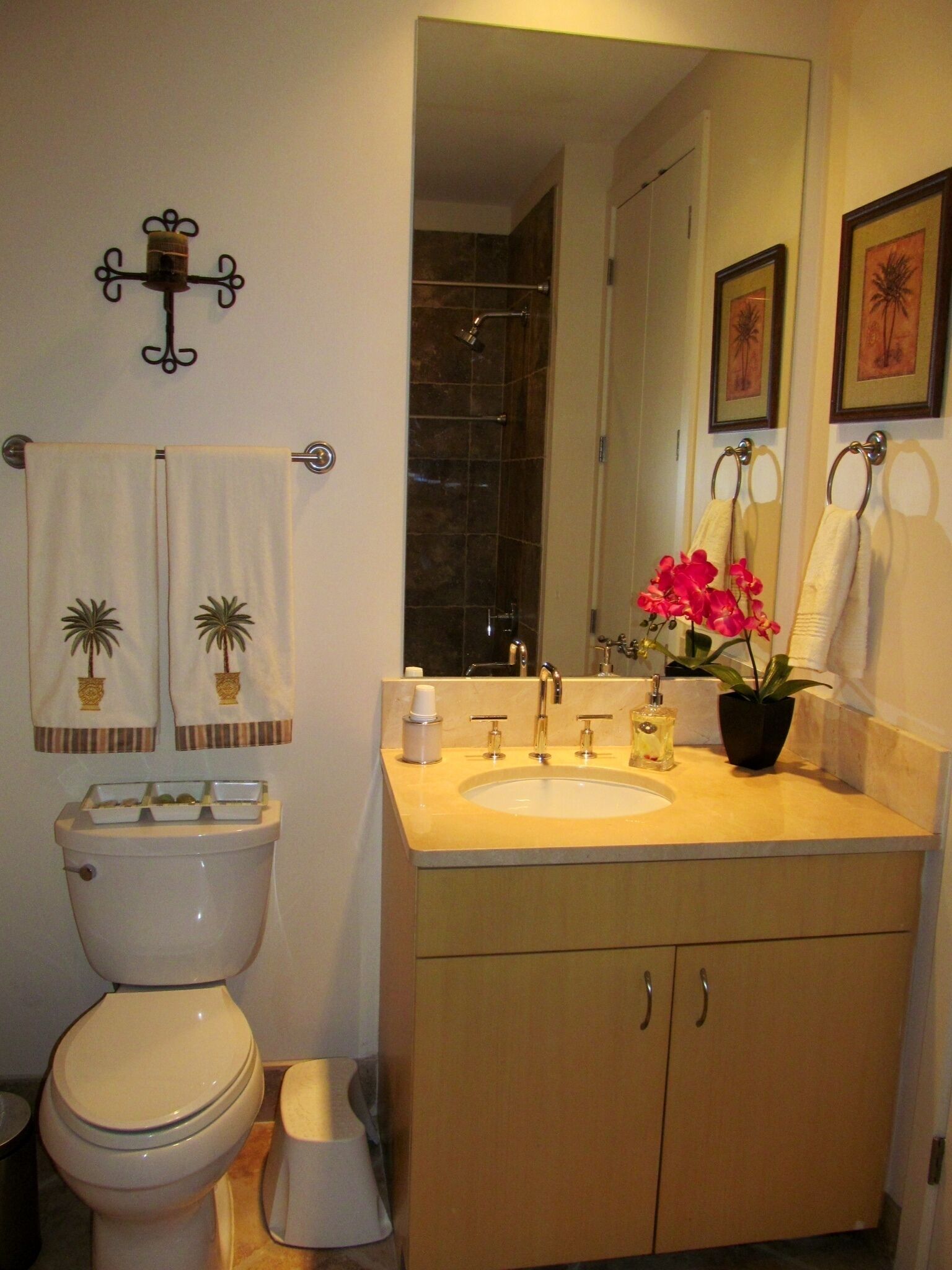 Baño con inodoro, lavabo y espejo. Hay toallas colgadas en la pared y una planta en el mostrador del lavabo.