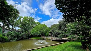 A serene park with a pond, a wooden bridge, and lush greenery.