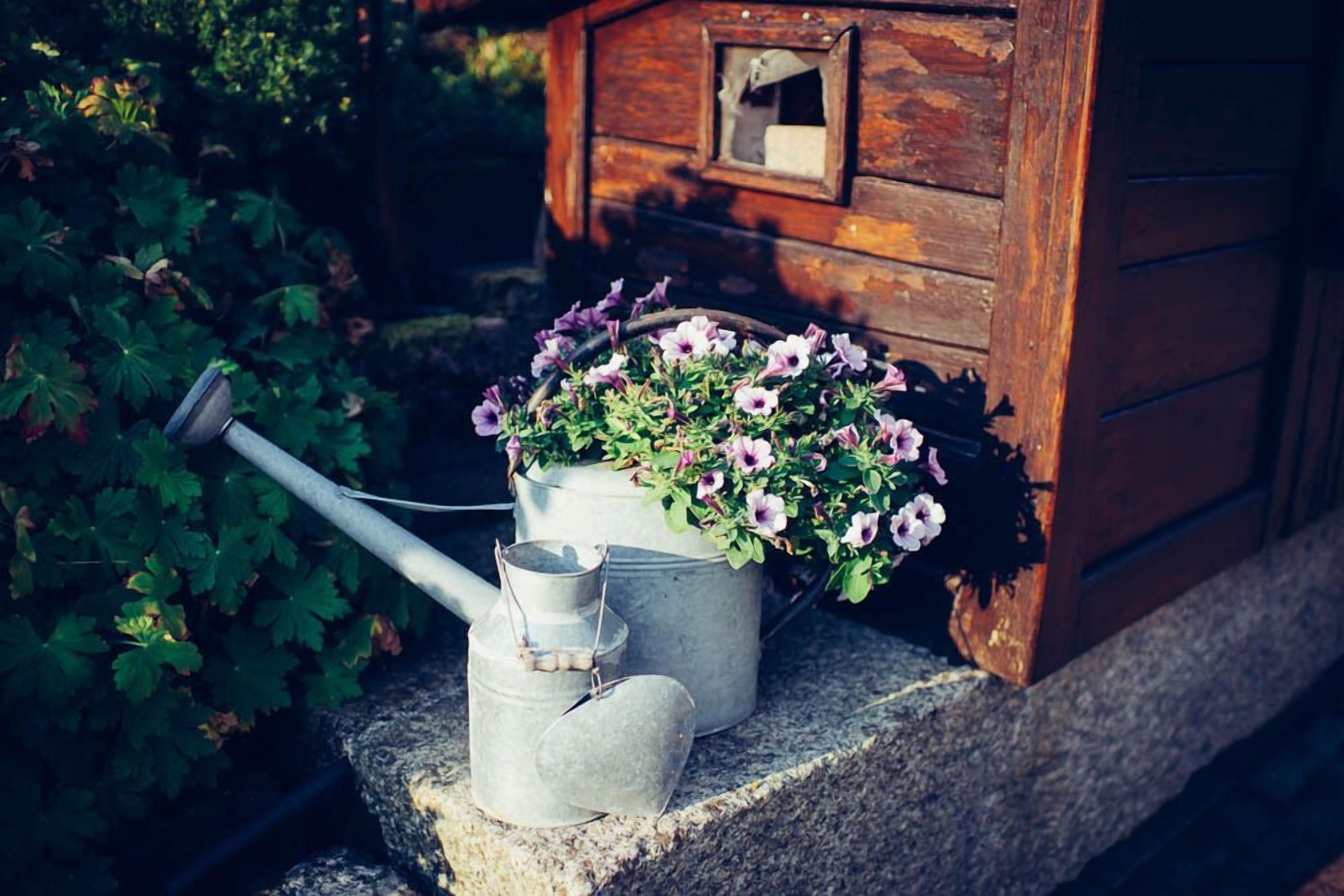 Eine rustikale Holzhütte mit einem Blumentopf vor der Treppe.