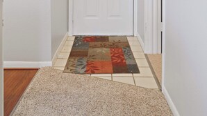 A hallway with a white door, a patterned rug, and a small green decoration on the wall.