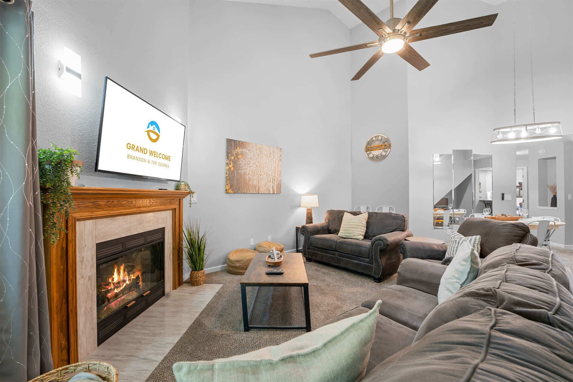 TV, fireplace, books