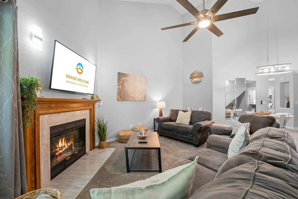 TV, fireplace, books