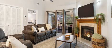 テレビ、暖炉、書庫